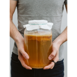 Kombucha zázvor plech 330 ml | LOKLOK