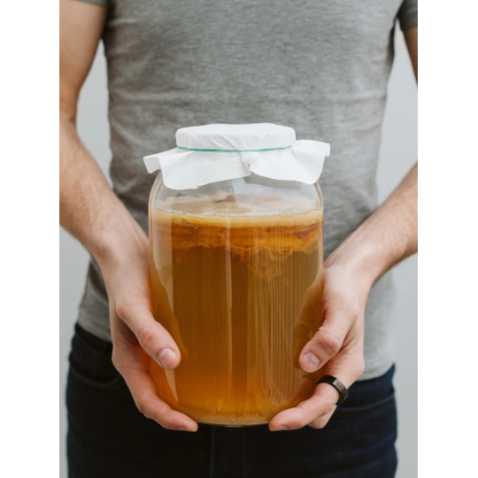Kombucha zázvor plech 330 ml | LOKLOK