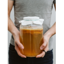 Kombucha zázvor plech 330 ml | LOKLOK