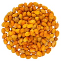 Ліофілізована обліпиха 50 g | Nutsman