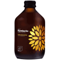 Kombucha Yerba Mate ORGANIC – Fermented Drink 330 ml | VIGO