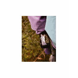 Kombucha de yerba mate BIO – bebida fermentada 330 ml | VIGO