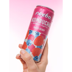 Kombucha Forest Fruits – lightly sparkling, sugar-free, 330 ml | Nexba