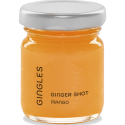 Shot de gengibre Manga – prensado artesanal 50 ml | Gingles