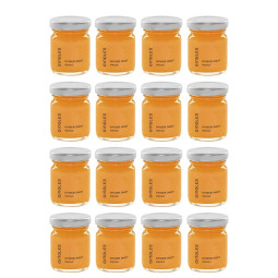 Zázvorový shot Mango – řemeslně lisovaný 50 ml | Gingles