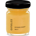 Zázvorový shot Brut – bez přidaného cukru 50 ml | Gingles