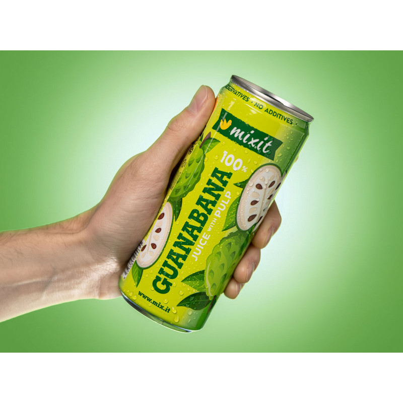 Mixit juice – 100% soursop with pulp 320 ml | Mixit