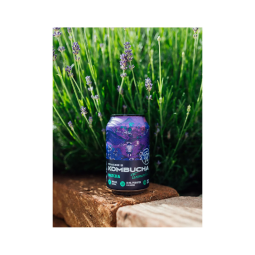 Prager's | Kombucha matcha 330ml | plechovka