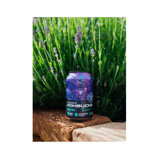 Prager's | Kombucha matcha 330ml | plechovka