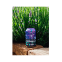 Prager's | Kombucha matcha 330ml | plechovka